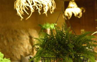 Ca Sa Padrina - Foto 64