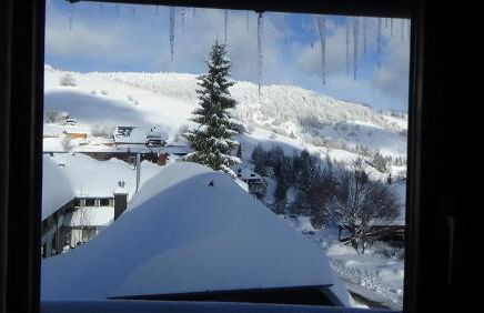 Happy Big Family - Foto 17