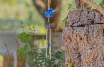 Studio APP Luka-We love nature. - Foto 3