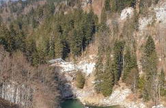 Ferienwohnung Waldgeflüster - Photo 7