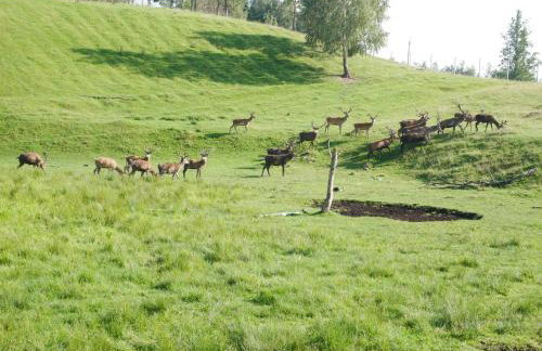 Mazurska Sielanka - Foto 34