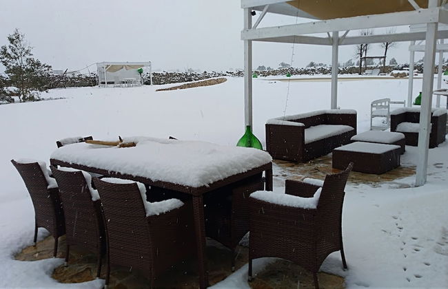 Falcon Home Resort - Photo 59