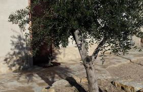 Casa Rural Alamar II - Foto 8