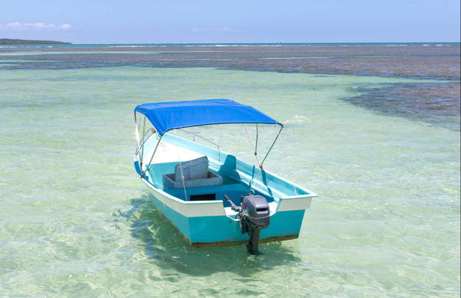 Day Trip to Morro de São Paulo - Photo 2