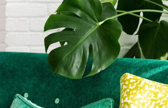 Sands Studio and Samphire Studio - Foto 17