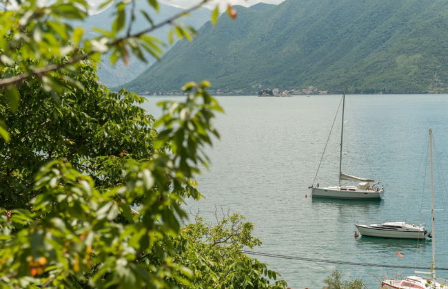 Stella Del Mare - Photo 16