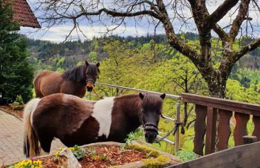 Ferienhof Fischer - Foto 67