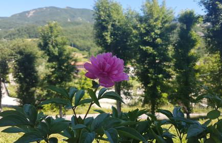 La Cappuccina - Foto 22