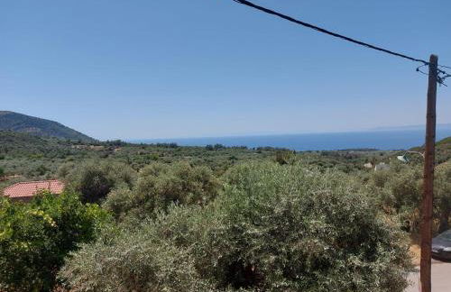 Abigails Pool House - Foto 31