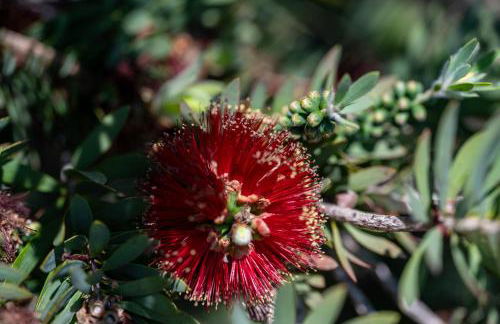 Newly remodeled home w pool & private back yard - Foto 28