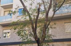 Artes 4 Terraza - Photo 31