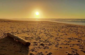 La maison de Maritxu - Entre plage et foret - Landes - Pays Basque - Foto 15
