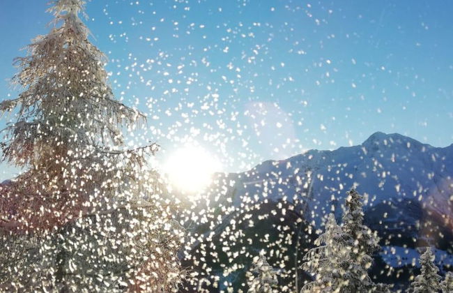 Amiel EG Süd - Foto 16