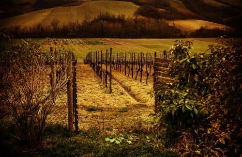 La Rondanina - Photo 19