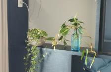 Flat Santa Cruz do Sul III - Foto 4