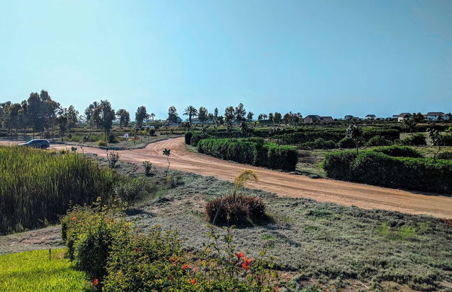 HOP Mykonos en Playa y Naturaleza de Chincha - Foto 31