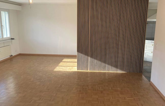 In the Green but in 20 Minutes in Basel - Foto 6