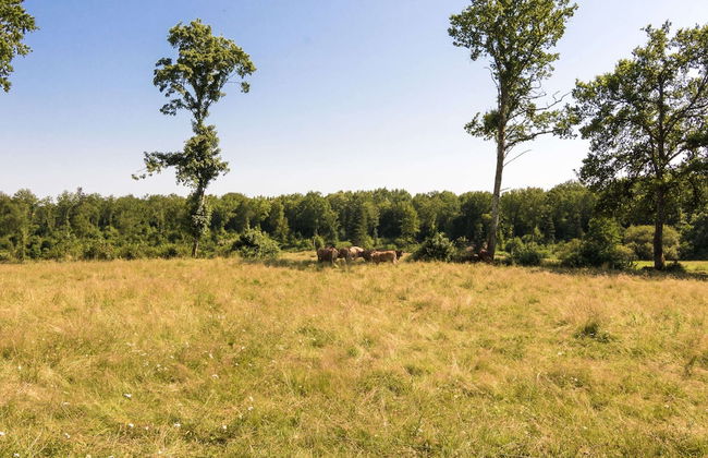 Romantic Stay in a Medieval Castle With Pool and Restaurant Among Others - Foto 68