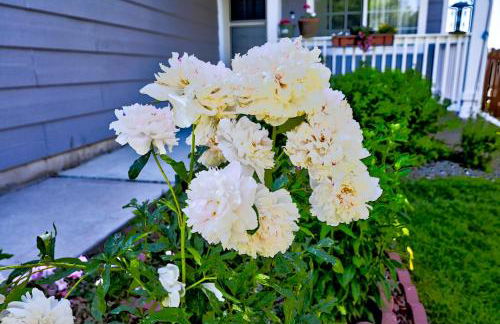 Aspen Home - Foto 12