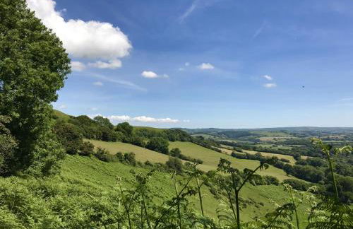 The Old Chapel - Photo 37