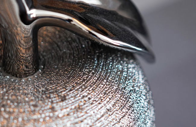 Arboleda 5 - Foto 51