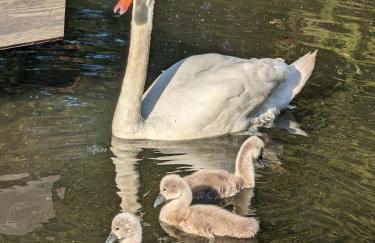 Tulana Taggs - floating home on idyllic island - Foto 9
