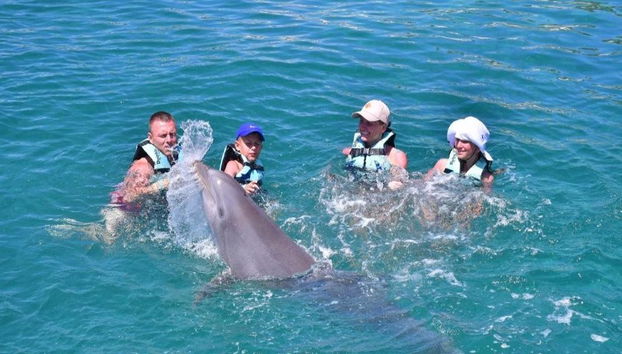 Aventura de Nado com Golfinhos no Parque Aquaventuras - Foto 5
