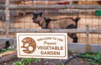 Milea Agritourism - Foto 152