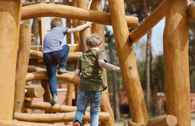 Safari Resort Beekse Bergen - Foto 28