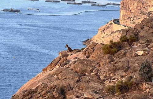 Luz de Mar - Foto 56