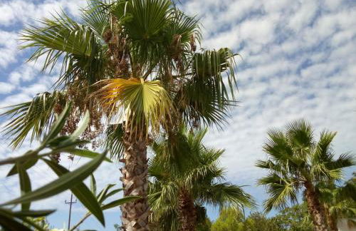 VILLA PROVIDENCIA - Foto 45