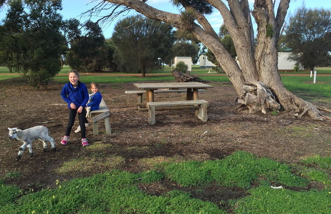 Kangaroo Island Cabins - Foto 22