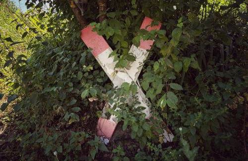 Denkmalgeschütztes Häuschen mit Schwimmteich - Foto 17