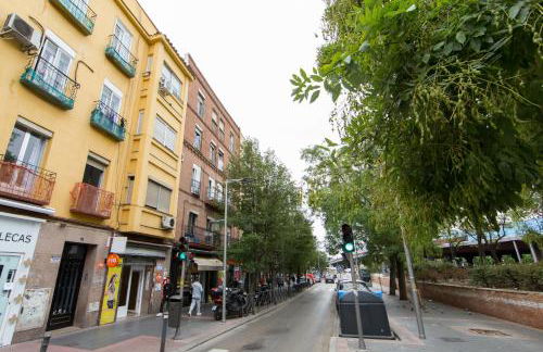 Wind Rose 7 - reformado Julio 2024 - Foto 64