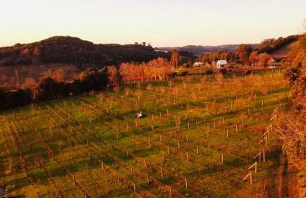 Cabana nas Nuvens - Foto 35