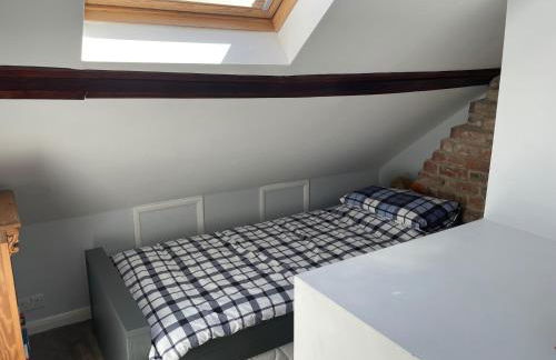 Arden on Albert - Photo 10