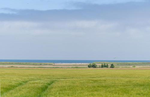 Old Smithy - Foto 45