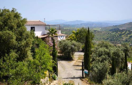 Künstlerhaus Finca Madreselva mit atemberaubenden Weitblick mit Infinitypool, kleinen Teichen und vielen Sitzplätzen in Tolox Malaga im Nationalpark Sierra de las Nieves, ideal für Entspannung, aber auch zum Wandern - Foto 12