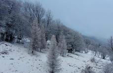 Studio pied des pistes Seignus d'Allos - Photo 14