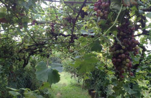 Villa Baronzola - Foto 64