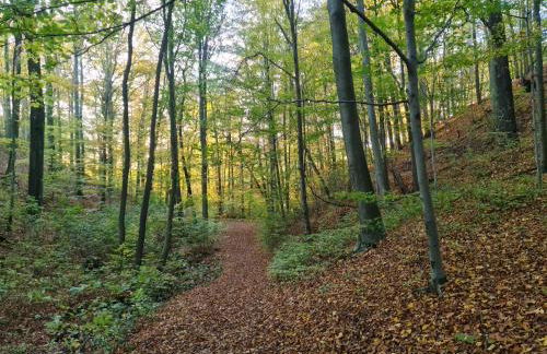 Gästehaus zum Rosengarten - Photo 56