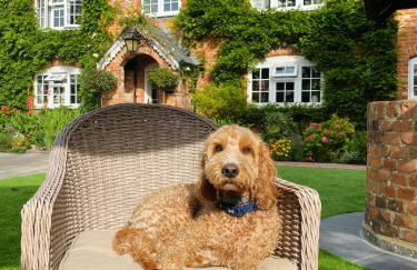 Little Woodside a beautiful New Forest self contained private luxury annexe - Foto 1