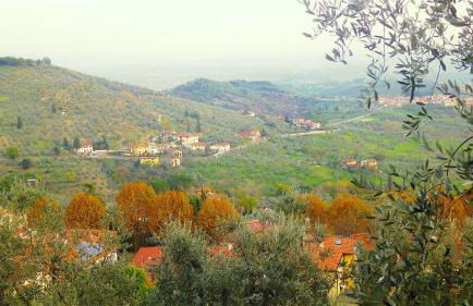 La Solaria - Foto 15