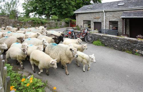 Swansea Valley Holiday Cottages - Foto 75