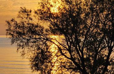 The House By The Sea - family memories strats here - Foto 15