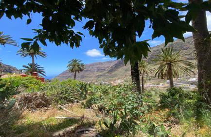 Casa Trujillo - Foto 38