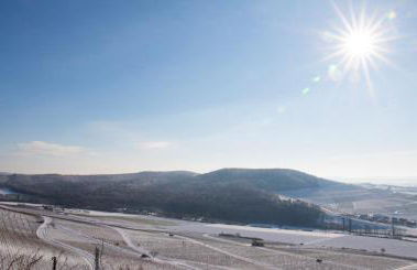Winzerhof Düring - Foto 11