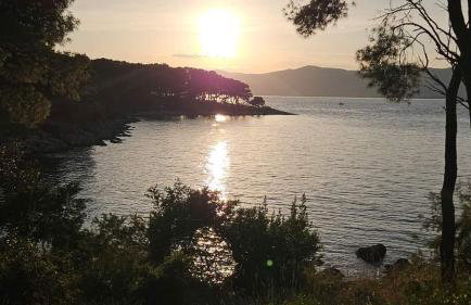 Little cherry - Photo 48