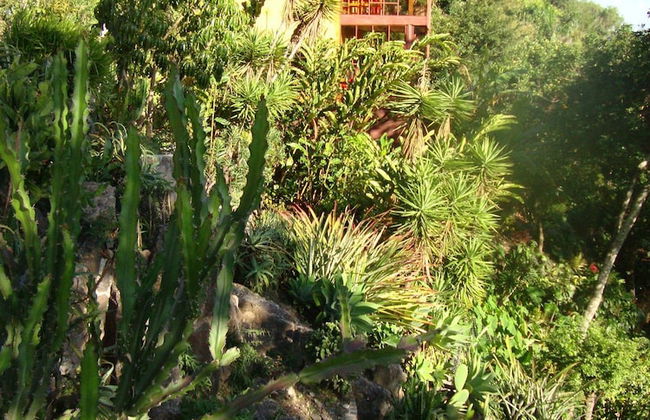 Casa Wenche - Foto 15