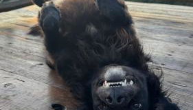 Eco Pousada Por do Sol - Foto 3